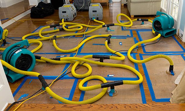 Professional Sewage Cleanup technician working in Wallisville, TX